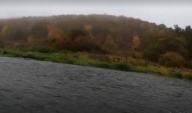 Сплав и рыбалка на р. Упа от п. Поречье до с. Кулешово (длина 133 км) - фото