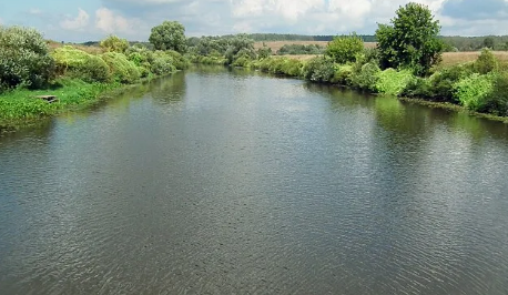 Сплав и рыбалка на р. Упа от п. Поречье до с. Кулешово (длина 133 км) - фото