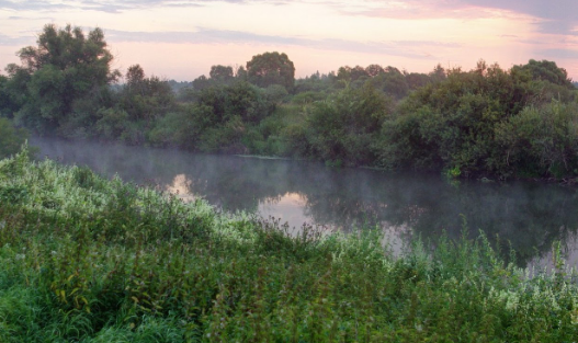 Сплав и рыбалка на р. Упа от п. Поречье до с. Кулешово (длина 133 км) - фото
