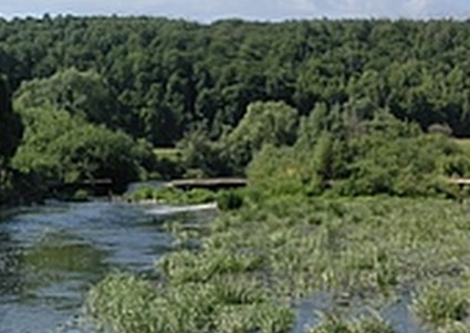 Сплав и рыбалка на р. Упа от п. Поречье до с. Кулешово (длина 133 км) - фото