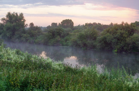 Сплав и рыбалка на р. Упа от п. Поречье до с. Кулешово (длина 133 км) - фото