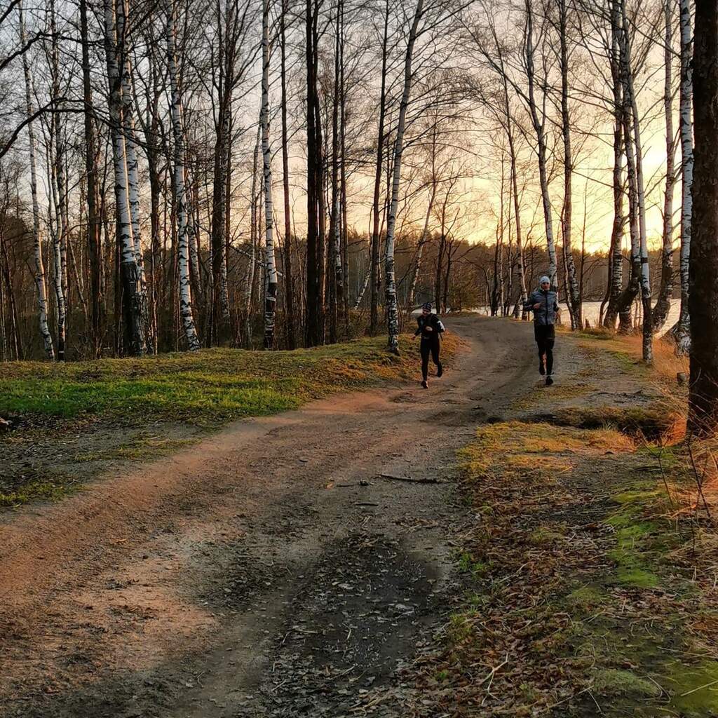 Dикий трейл во Всеволожске, 21 км - фото