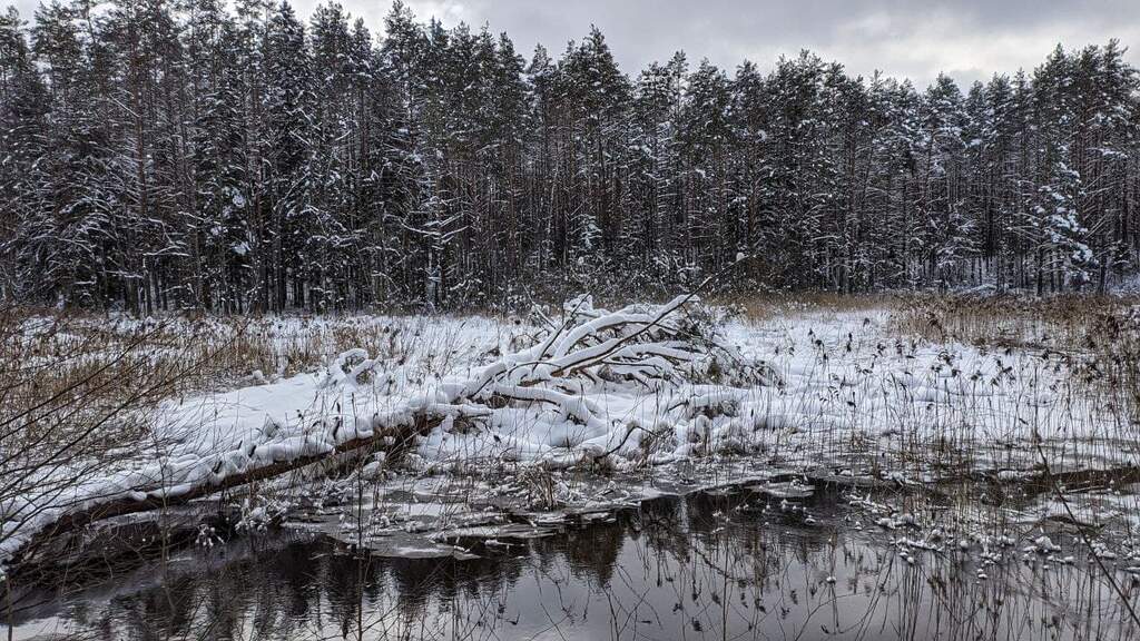 Памятник природы Псковской области «Изборско-Мальская долина» - фото