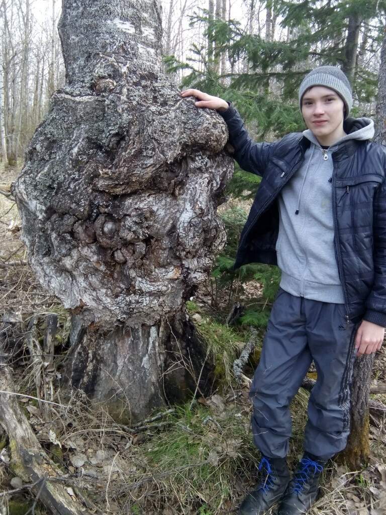 К Сухореченским чашам, томский таёжный маршрут - фото