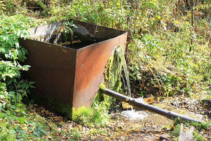 К Иткаринскому водопаду. Нижнее Правобережное Притомье - фото