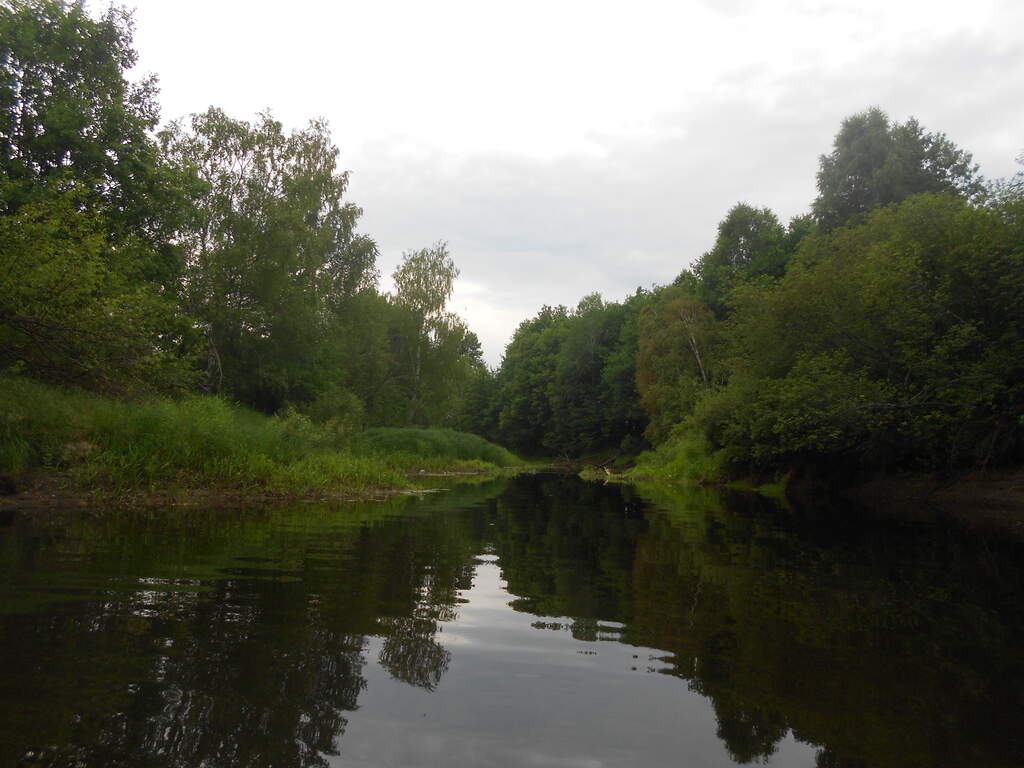 р Серёжа(Нижегородская) - фото