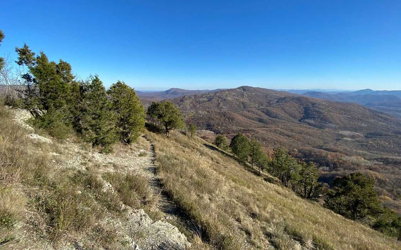 Папайинг - фото