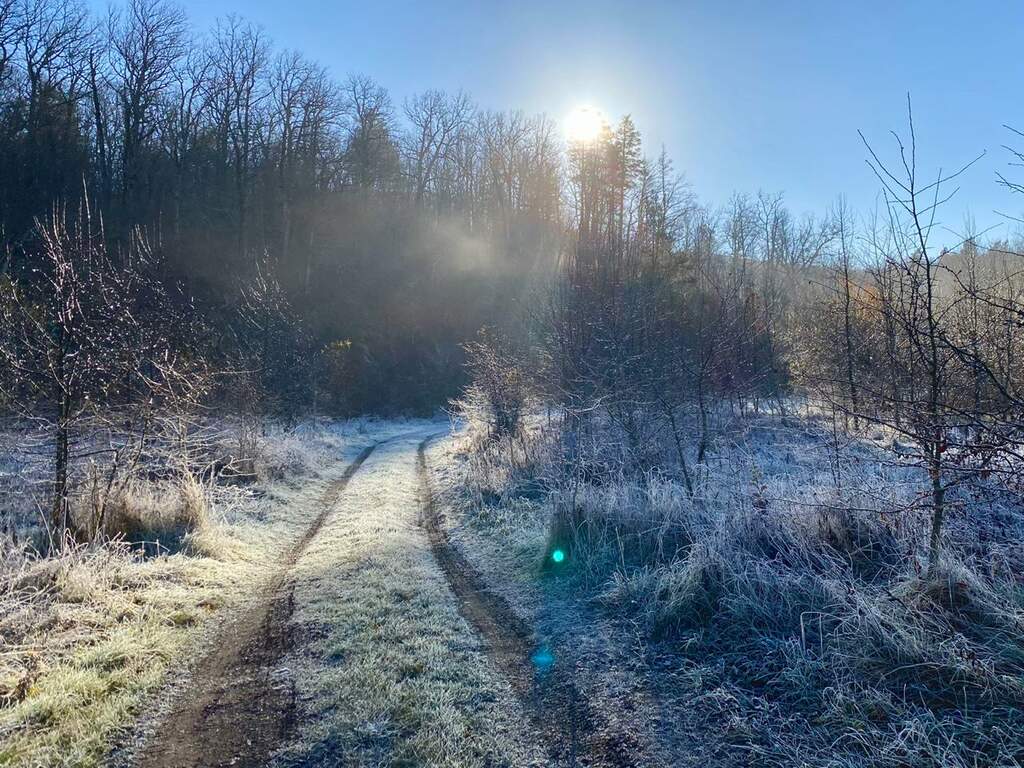 Папайинг - фото