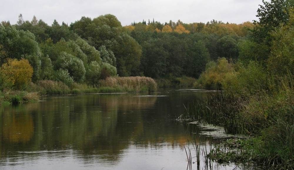 Поселок пруды нижегородская область. Поселок уста Нижегородская область.