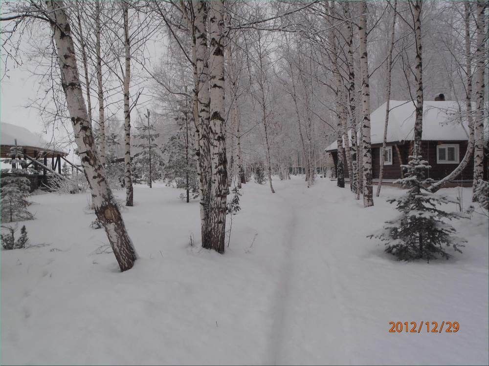 База отдыха кедр нижневартовск фото