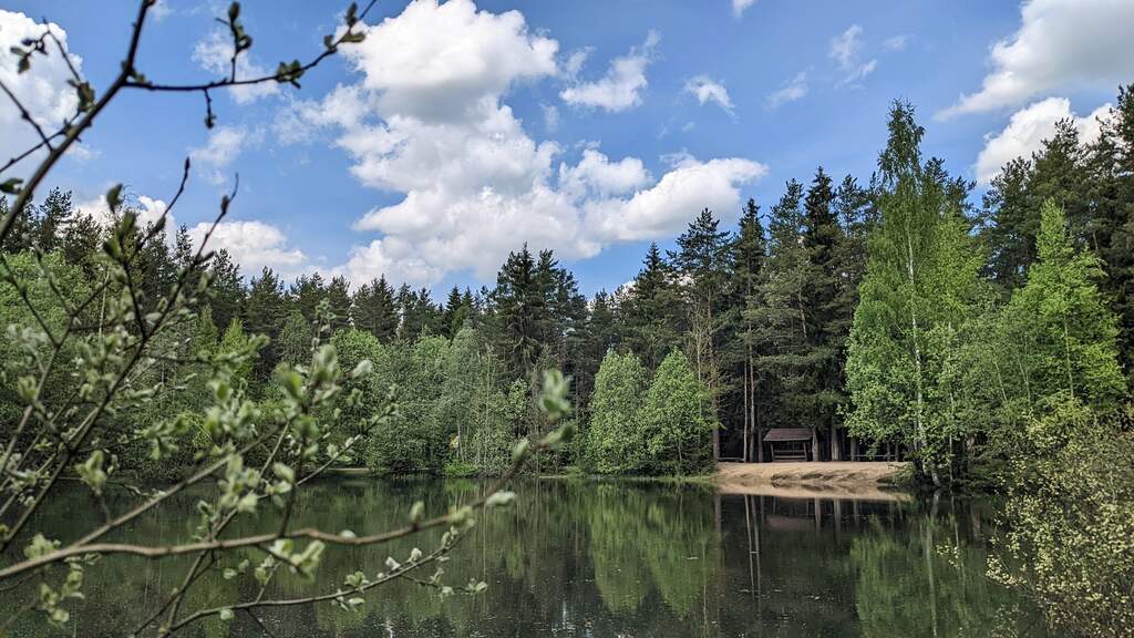 Природный парк "Токсовский" - фото