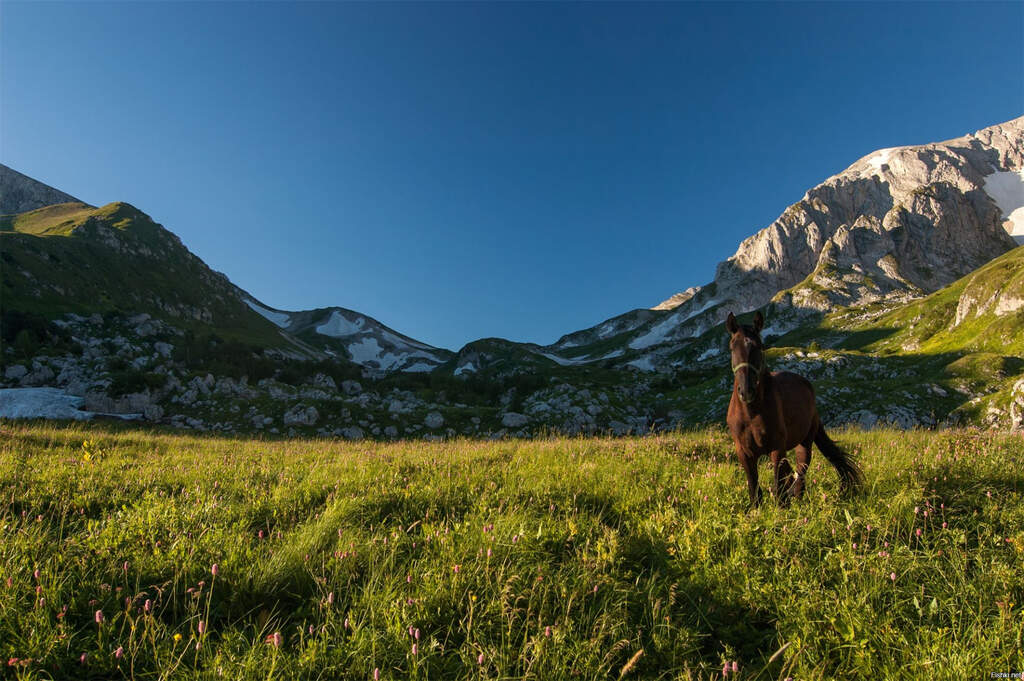 Плато Лагонаки - фото