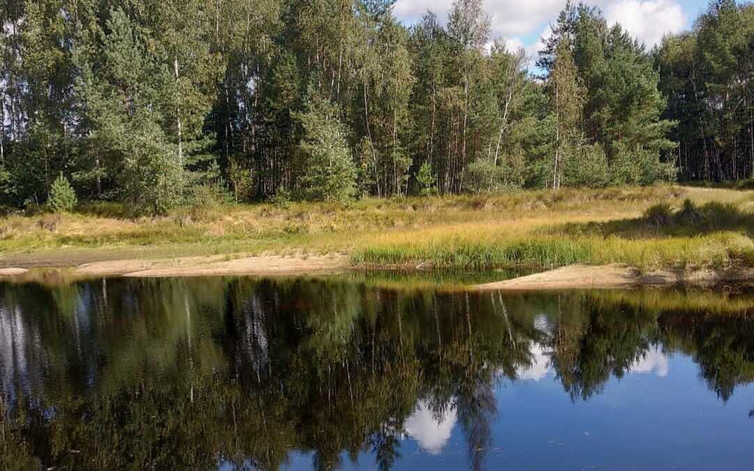 Тропа Паустовского. Красный маршрут. - фото