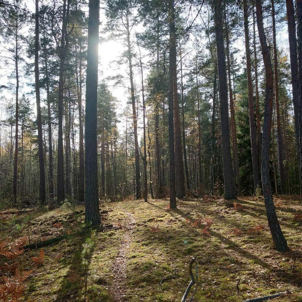 Передельцы - Малое Келецкое - Передельцы - фото