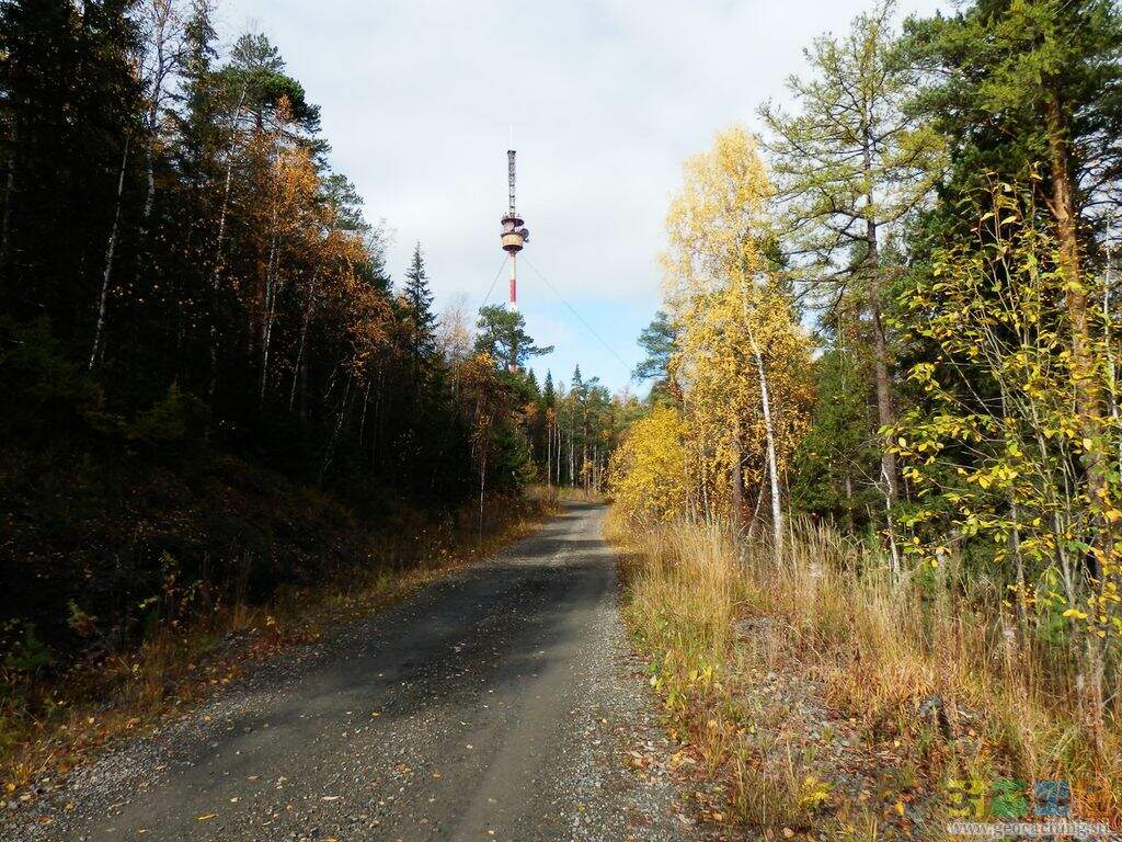 Баранчинский - Синяя гора - Кудрявый камень - Баранчинский (18 км) - фото