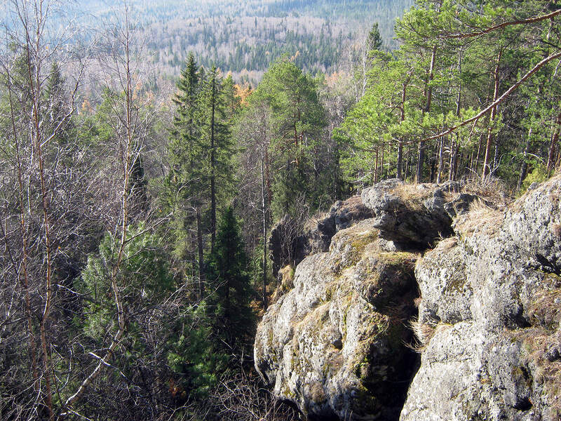 Баранчинский - Синяя гора - Кудрявый камень - Баранчинский (18 км) - фото